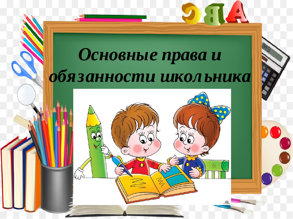 основные права и обязанности основные права и обязанности